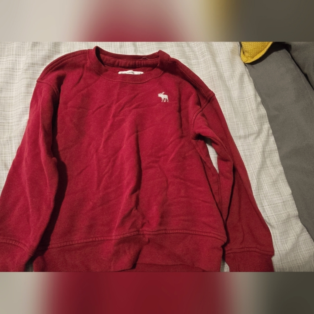 Kids Red Sweatshirt
